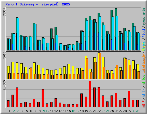 Raport Dzienny -  sierpień 2025