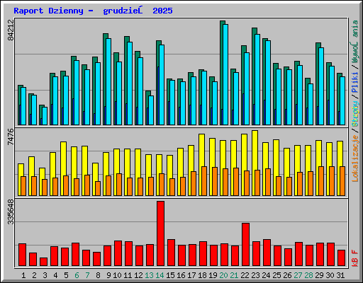 Raport Dzienny -  grudzień 2025