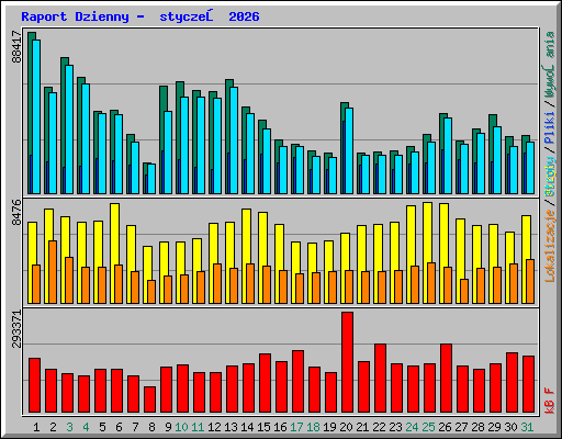 Raport Dzienny -  styczeń 2026