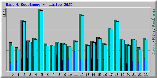 Raport Godzinowy -  lipiec 2025