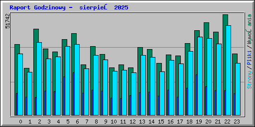 Raport Godzinowy -  sierpień 2025