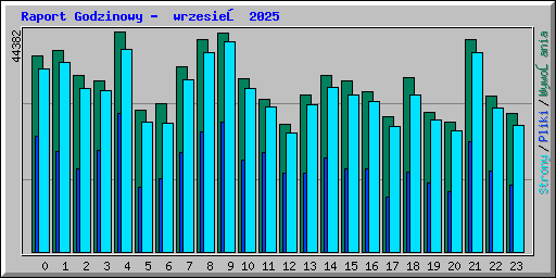 Raport Godzinowy -  wrzesień 2025