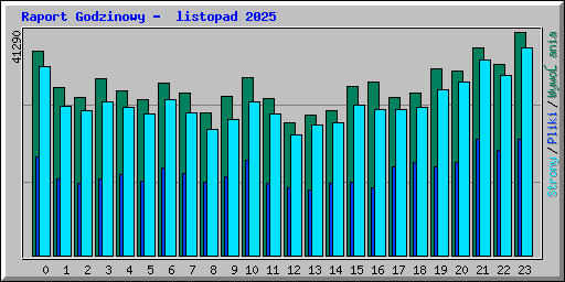 Raport Godzinowy -  listopad 2025