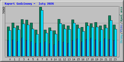 Raport Godzinowy -  luty 2026