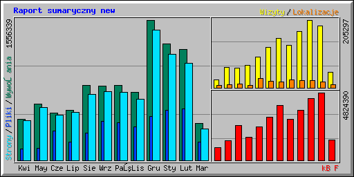 Raport sumaryczny new